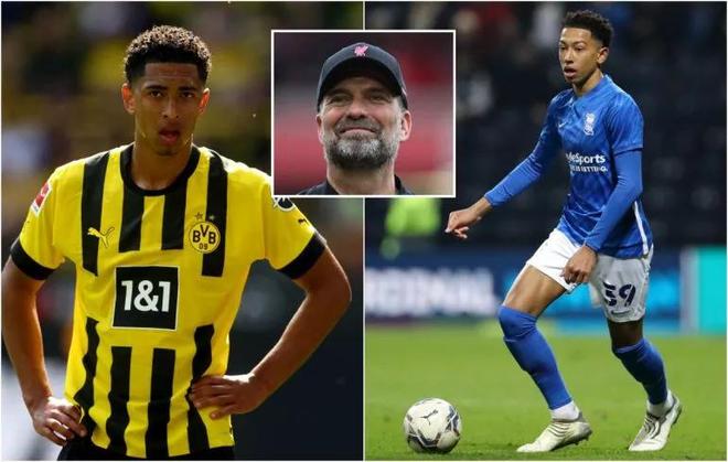 湖人詹姆斯受伤，赛季报销恐怕无望